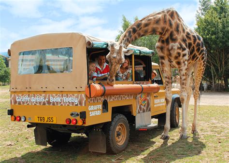 Chessington World of Adventures Resort: UK Theme Park & Zoo