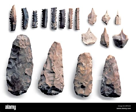 Paleolithic Tools