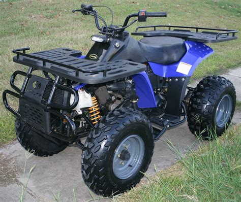 KAZUMA Dingo 250 ATV