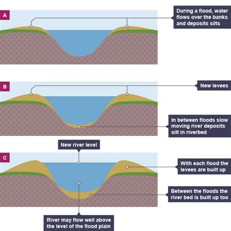 Levees | What? & Facts | A Level Geography Revision Notes