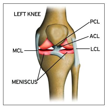 News - Tom Aspinall reveals torn MCL and meniscus in UFC London loss to ...