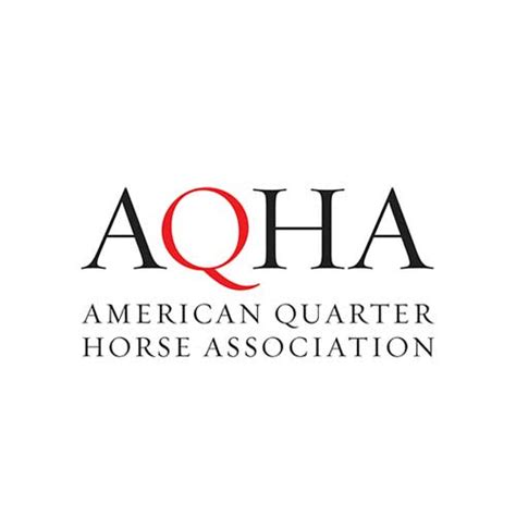 American Quarter Horse Association | Here For Horses