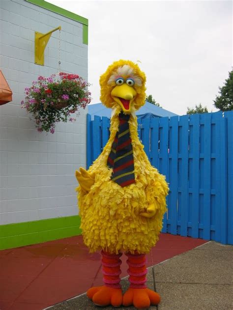 Big Bird Costumes | Big bird costume, Bird costume, Big bird