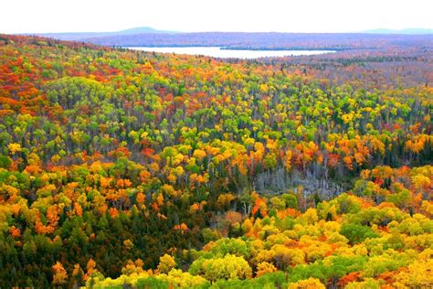 Upper Peninsula Fall Colors 2025 - Kerry Melonie