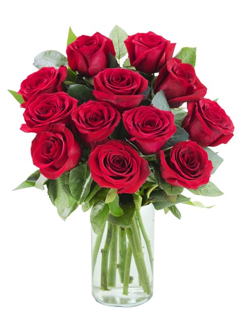 Arabella Farm Direct Bouquet of 12 Fresh Cut Red Roses With Vase ...