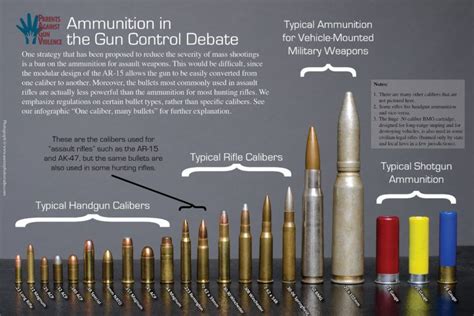 Common Bullet Sizes Bullet Size Chart, Bullet Types, Reloading ...