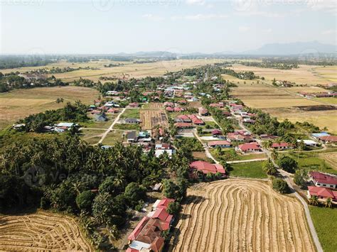 Aerial view harvested paddy field 21650827 Stock Photo at Vecteezy