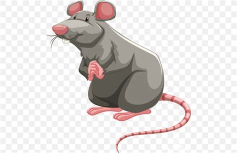 Brown Rat Vector Graphics Royalty-free Illustration Laboratory Rat, PNG ...