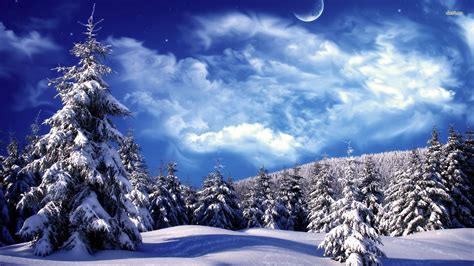 Winter Wonderland Backgrounds (41+ images)