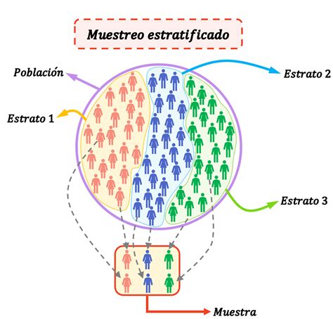 Muestreo Aleatorio Estratificado Ejemplos - Image to u