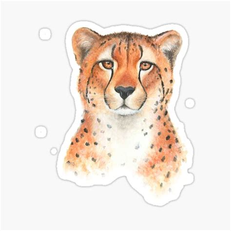 "Spotted leopard portrait " Sticker for Sale by Hotspot79 | Redbubble