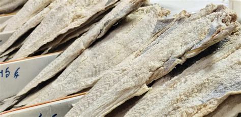 Codfish in Portugal: why are Portuguese obsessed with cod ...