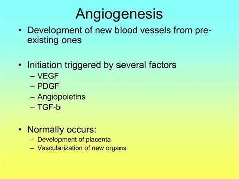 PPT - Angiogenesis PowerPoint Presentation, free download - ID:1056796