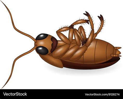 Cartoon dead cockroach Royalty Free Vector Image