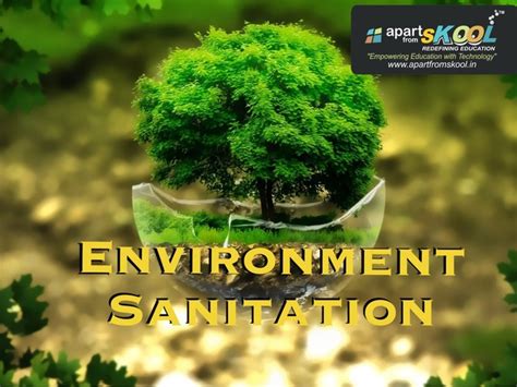 Environment Sanitation Free Activities online for kids in 4th grade by ...