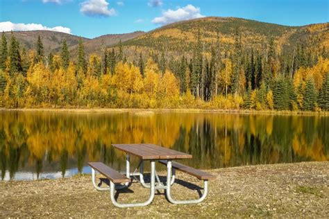 15 Best Things to Do in Fairbanks (Alaska) - The Crazy Tourist