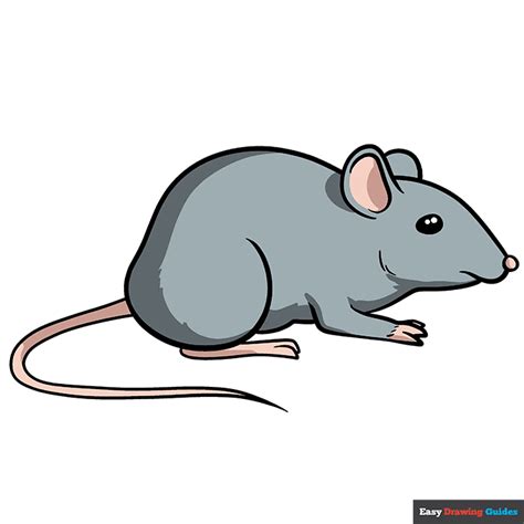 Mouse Drawings