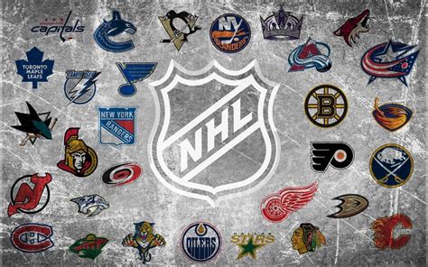 10 Most Valuable NHL Teams for 2013 | TheRichest