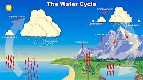 Water Cycle Song | Water Cycle for Kids | Water Cycle Animation | The ...