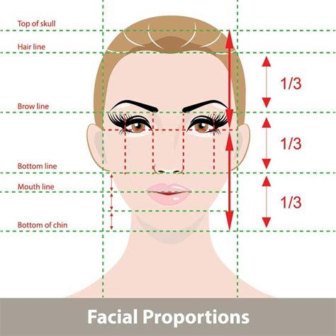 Golden Ratio Face Template Transparent Female : The face is not a morph ...