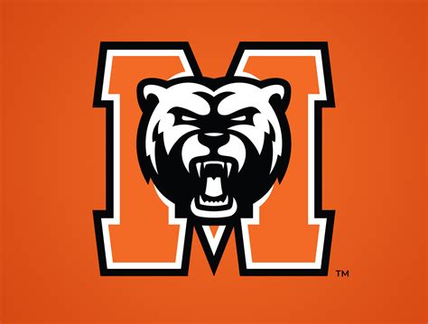 Mercer Bears Concept by Dave Raffin on Dribbble