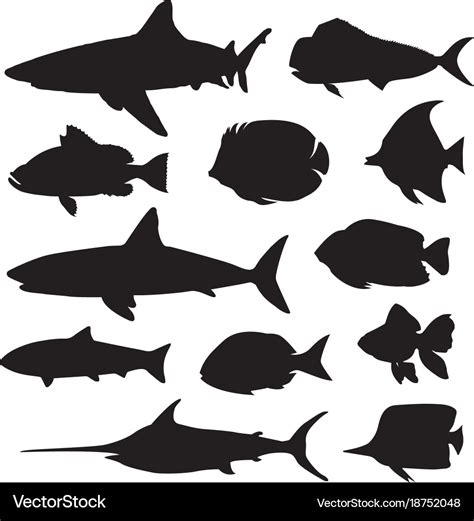 Fish silhouette Royalty Free Vector Image - VectorStock