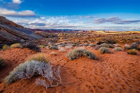 10 spectacular deserts in the world including the Sahara and Sonoran ...