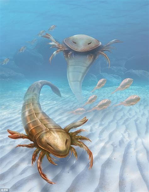 The 5ft-long scorpion that terrorised the seas 460 million years ago ...