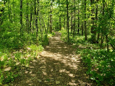 Finding God in Nature - Duluth Benedictines