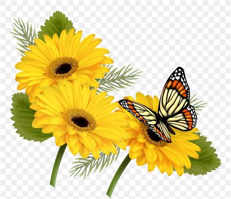 Butterfly Flower Yellow Clip Art, PNG, 4410x3808px, Butterfly, Annual ...