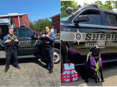 Who Wore It Better? Morris Co. Cops, K-9 Get In Fashion Showdown ...