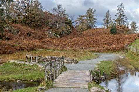 Tarn Hows walk - The Tarns walk - Coniston walks - Lake District walks