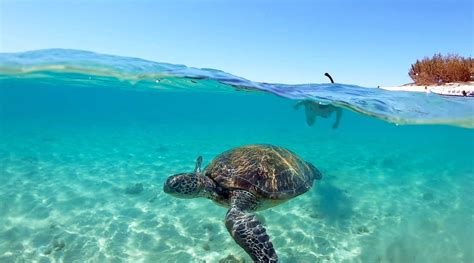 Great Keppel Island Day Tour » Great Keppel Island Hopping Day Tours