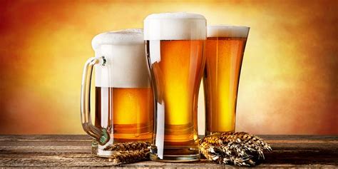 10 Types of Beer Glasses to Complement Your Beer