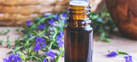 11 Benefits of Hyssop Oil for Skin and Hair