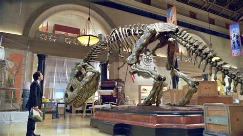 Rexy | Night At The Museum Wiki | FANDOM powered by Wikia