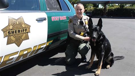 Santa Cruz Co. Sheriff's Office appoints first female canine handler ...