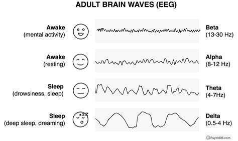 Theta Waves Eeg