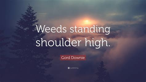 Gord Downie Quote: “Weeds standing shoulder high.”