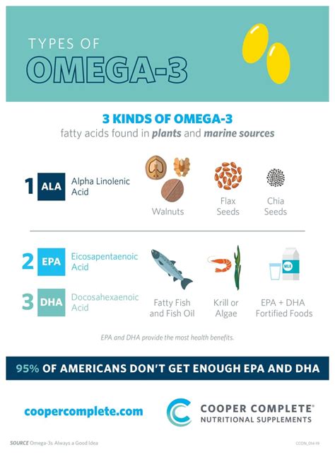 Short Chain versus Long Chain Omega-3 Fatty Acids Explained