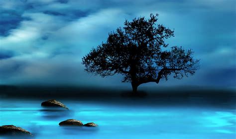 Blue Night Digital Art by Katy Breen - Fine Art America