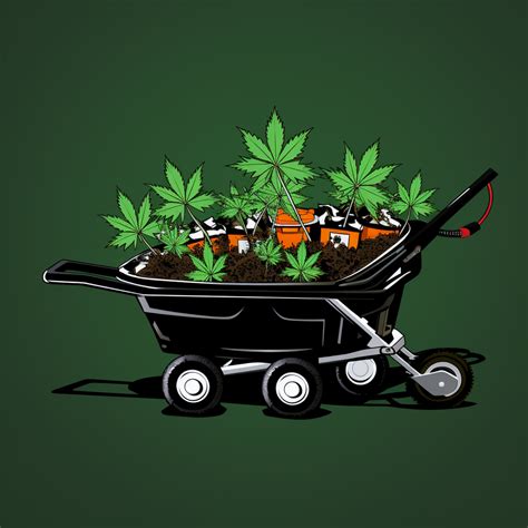 How is the South Park Wheelbarrow episode related to cannabis culture ...