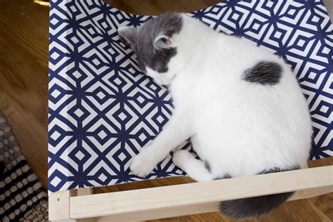 How to Make a DIY Cat Hammock