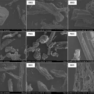 SEM images of bottom ash samples: EB01, EB02, and EB03 Ethimale bottom ...