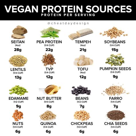 Vegan Protein Sources