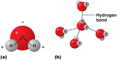 Hydrogen bonding – Isaac's science blog