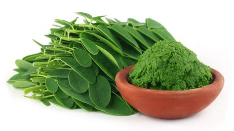 How to Use Moringa Powder: Your Questions Answered by Zen Principle