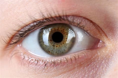 Blog Post : 7 Emerging Treatments for Wet AMD :: Healersource