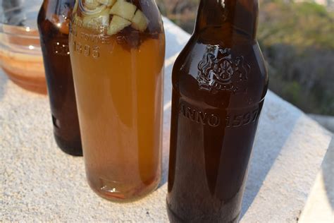 Kombucha Chronicles Part 8: How to Use Extra Kombucha SCOBY's & Vinegar ...