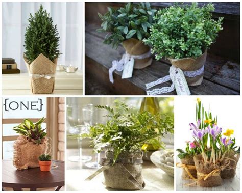 Ten Creative Ways to Wrap Potted Plants and Flowers – Quick and Easy ...